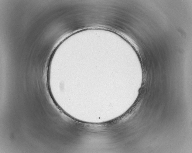 X0000114491007200911301102