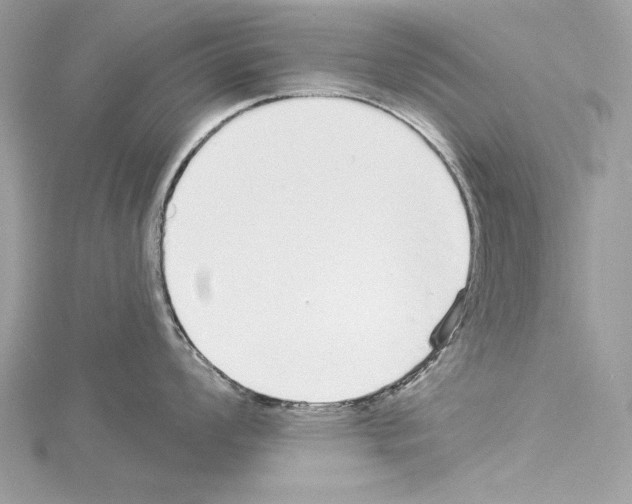 X0000114491008200911301102