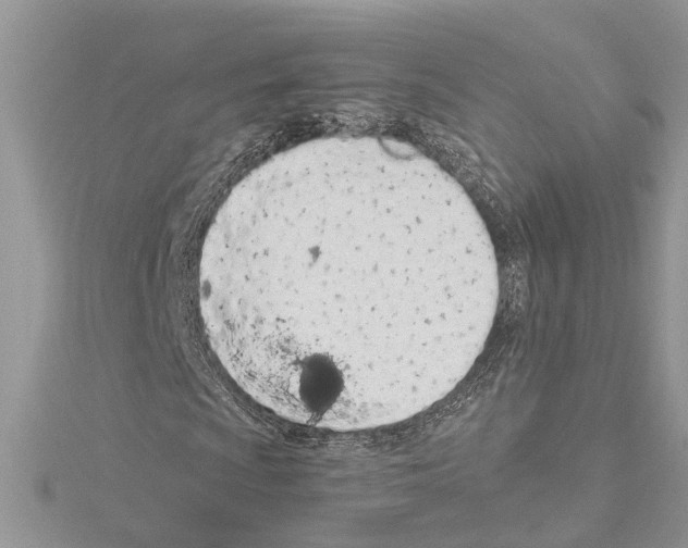 X0000114491009200911301101