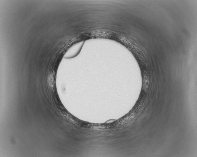 X0000114491010200911301101