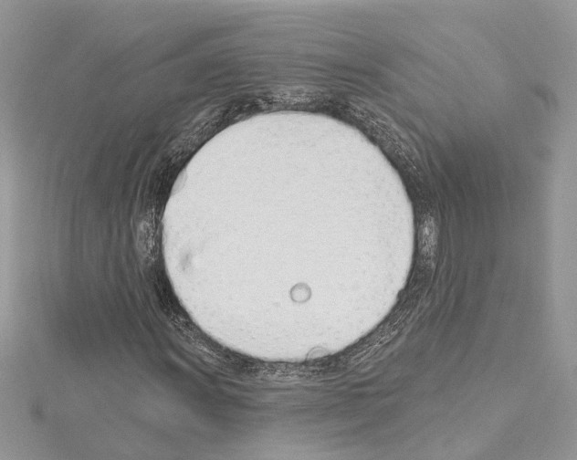 X0000114491011200911301101