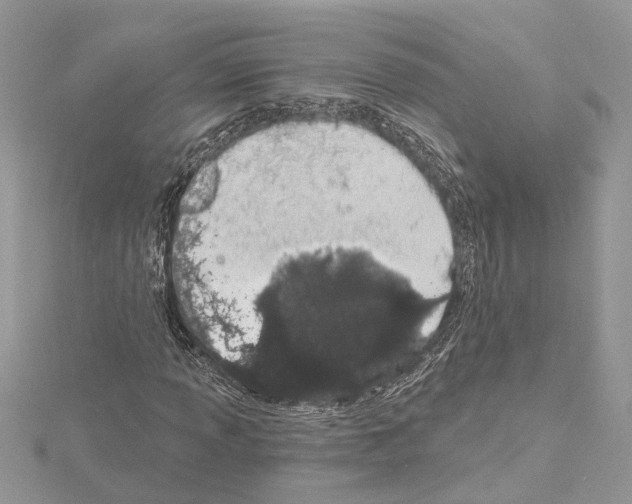 X0000114491013200911301101