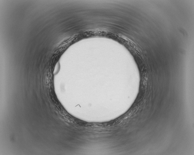 X0000114491014200911301101