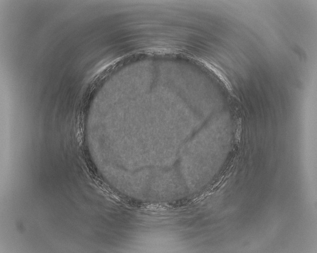 X0000114491015200911301101