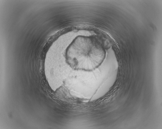 X0000114491016200911301101