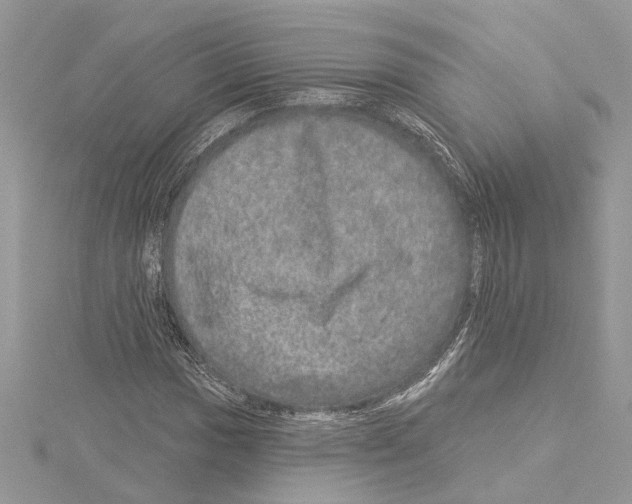 X0000114491017200911301101