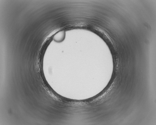 X0000114491018200911301101