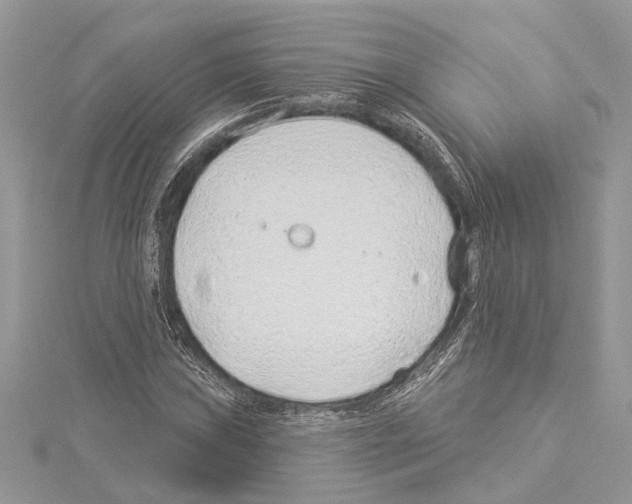 X0000114491019200911301101