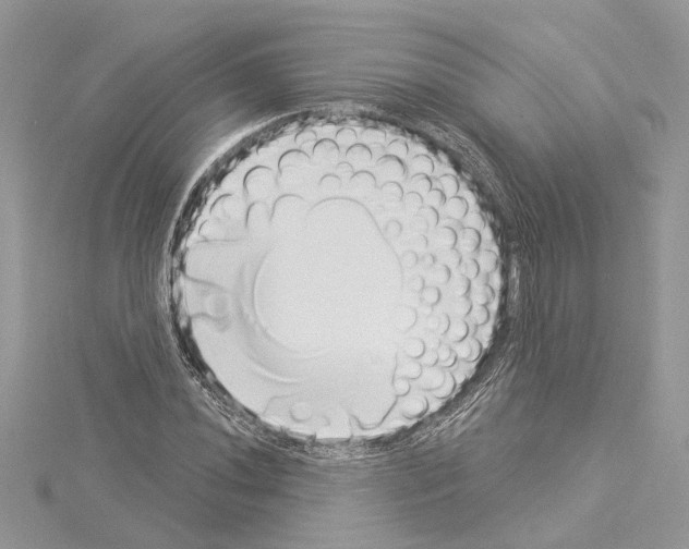 X0000114491020200911301101