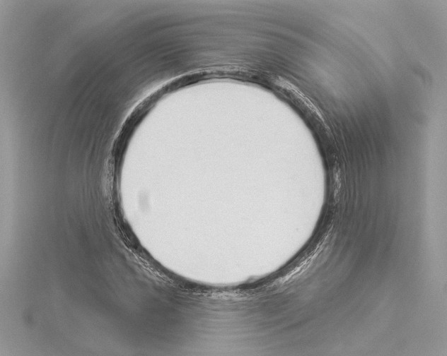 X0000114491021200911301101