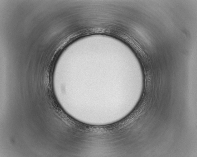 X0000114491023200911301101