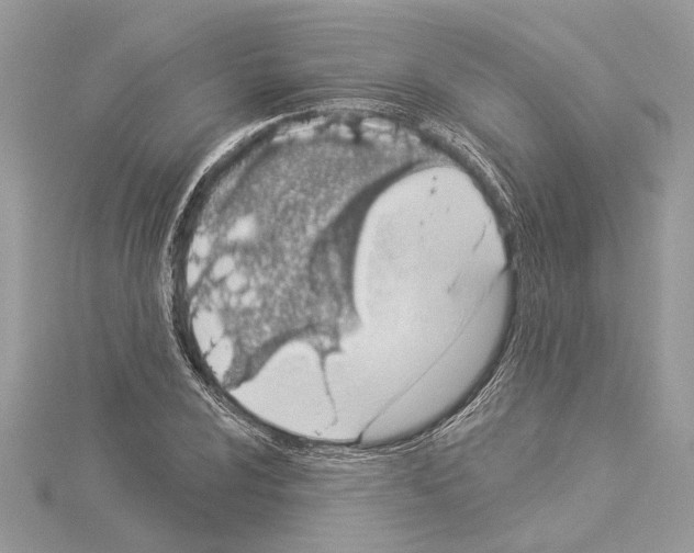 X0000114491024200911301101