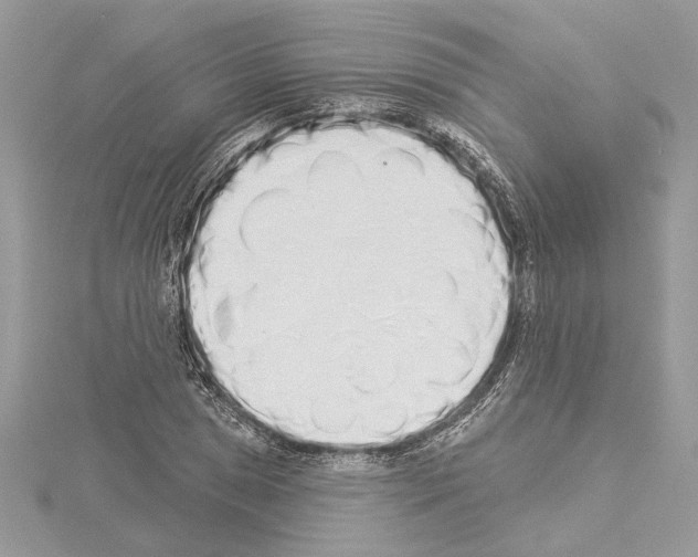 X0000114491025200911301101