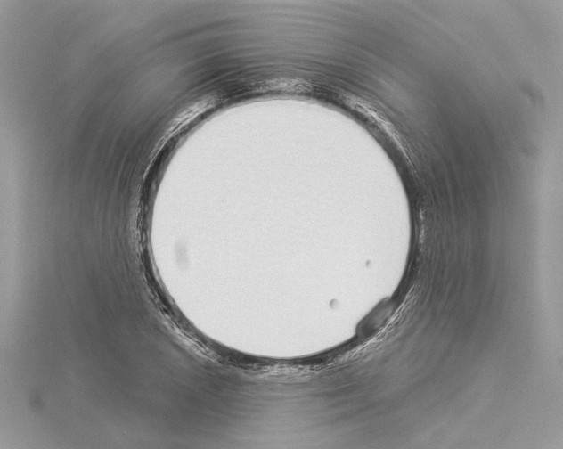 X0000114491026200911301101