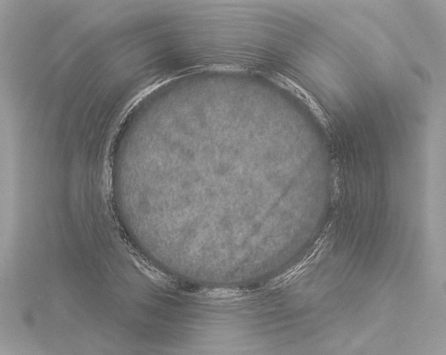 X0000114491027200911301101