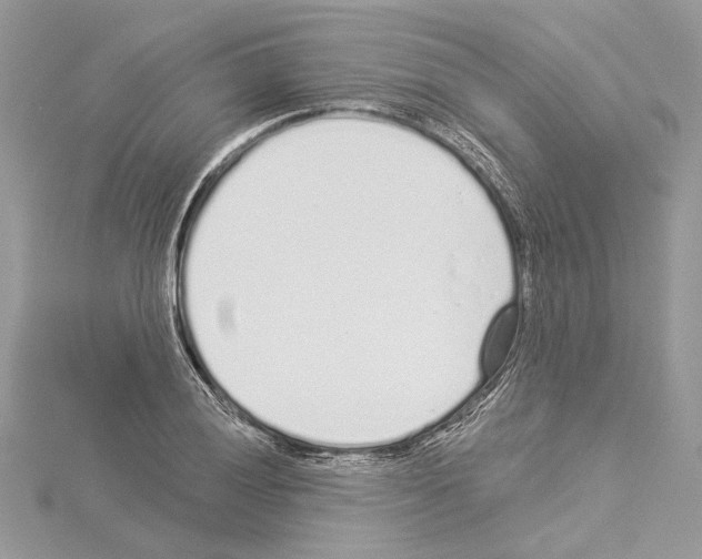 X0000114491028200911301101