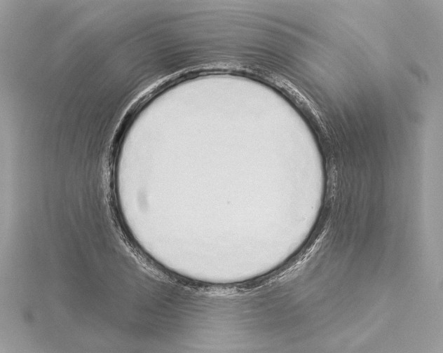 X0000114491029200911301101