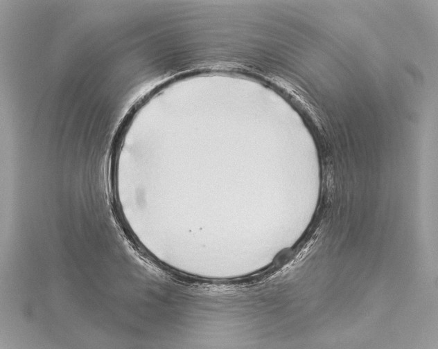 X0000114491030200911301102