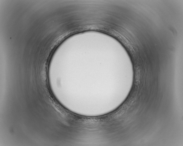 X0000114491031200911301102