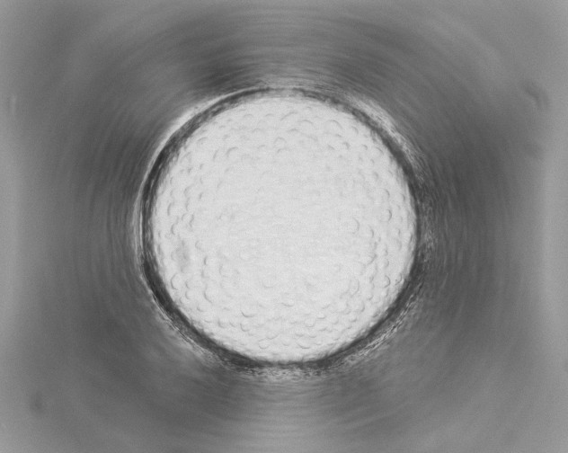 X0000114491032200911301102