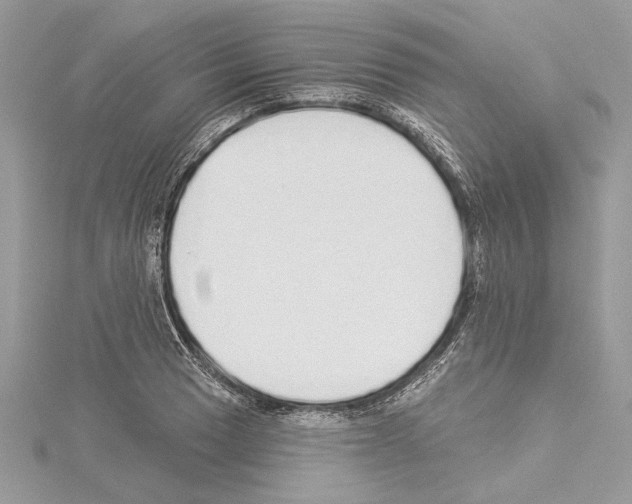 X0000114491033200911301102