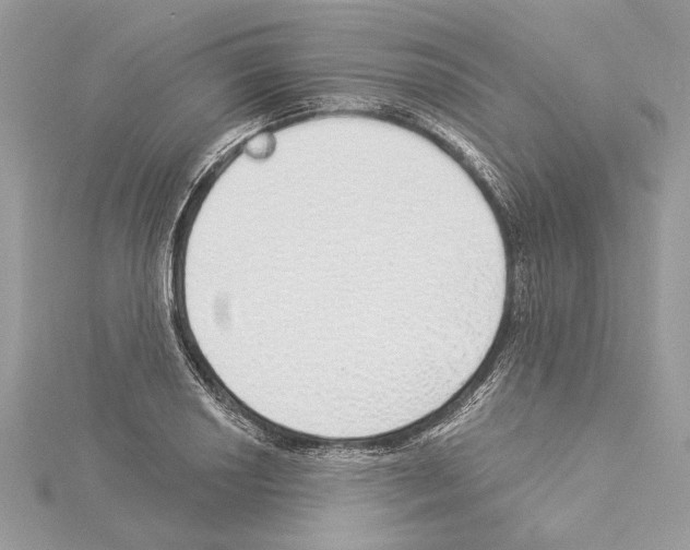 X0000114491034200911301102