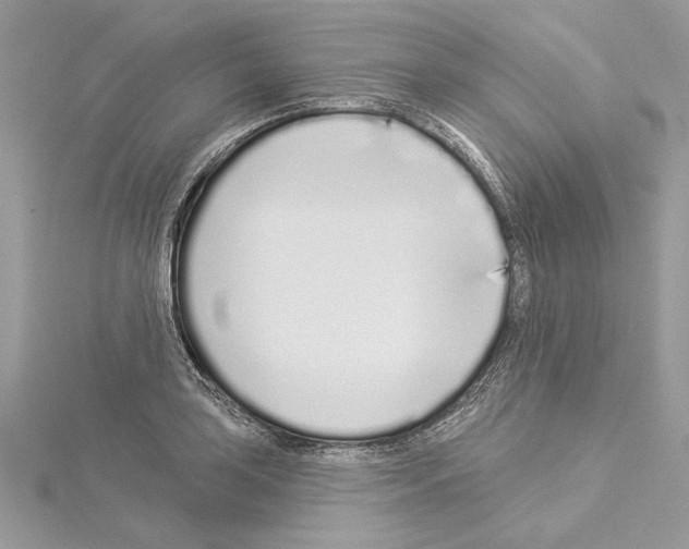 X0000114491035200911301102