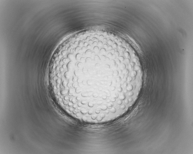 X0000114491036200911301102