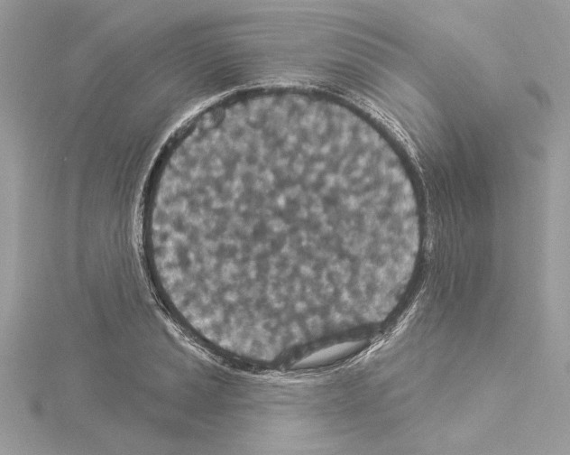 X0000114491037200911301102