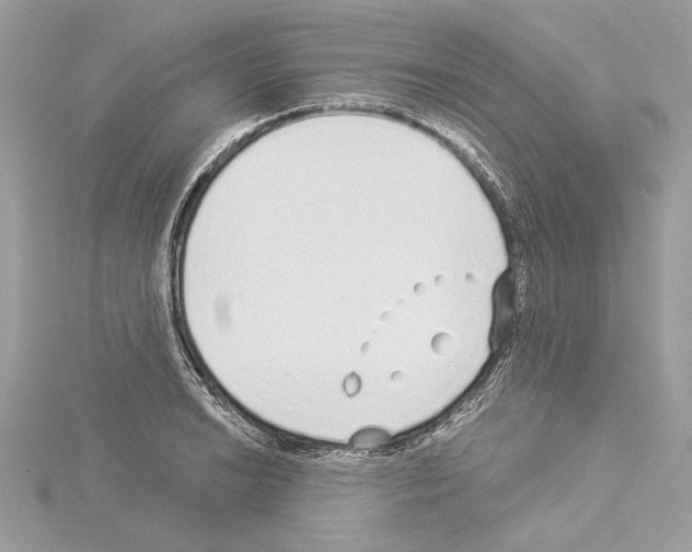 X0000114491038200911301102