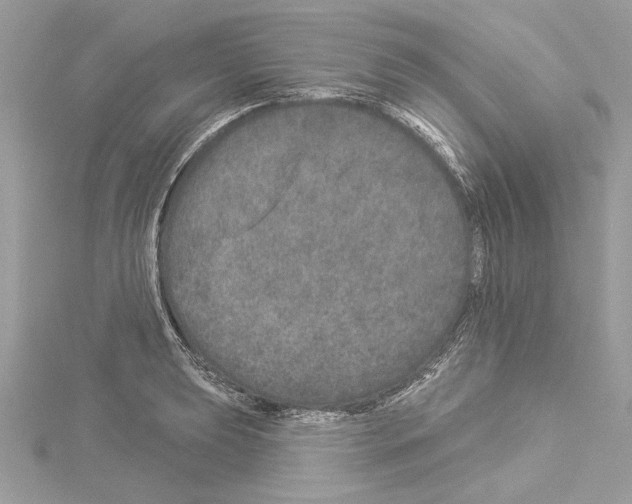 X0000114491039200911301102