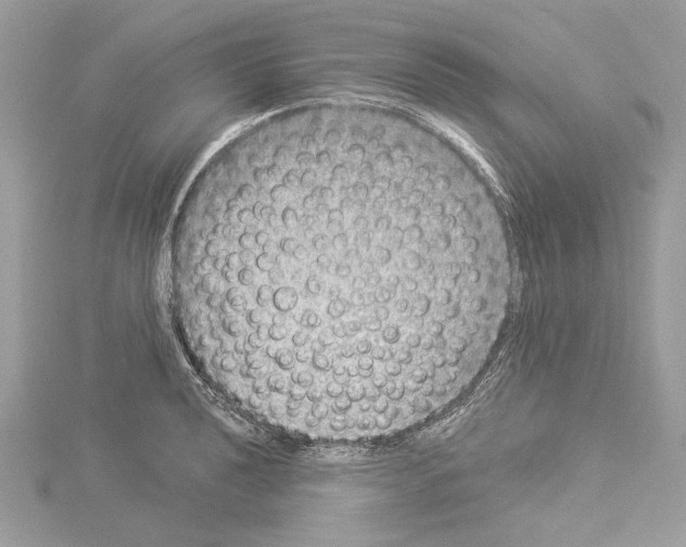 X0000114491040200911301102