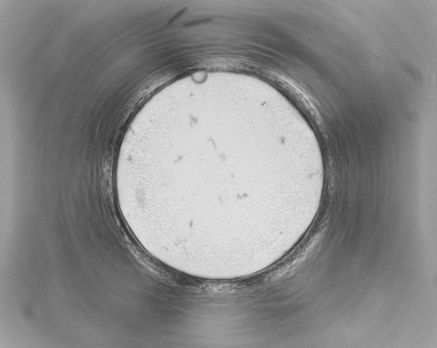 X0000114491041200911301102