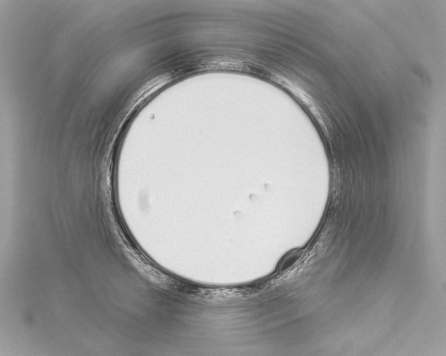 X0000114491042200911301102