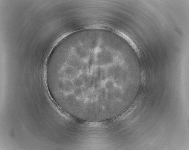 X0000114491043200911301102