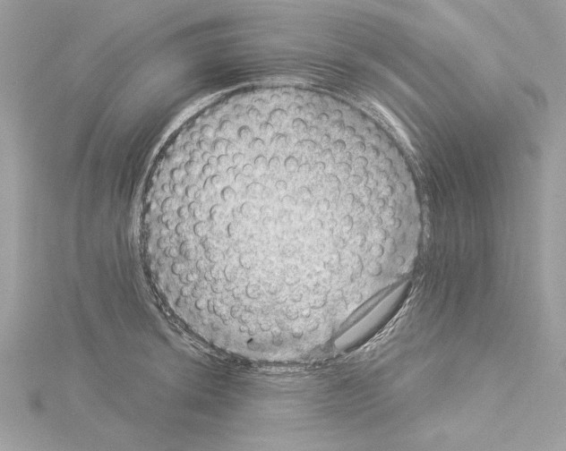 X0000114491044200911301102