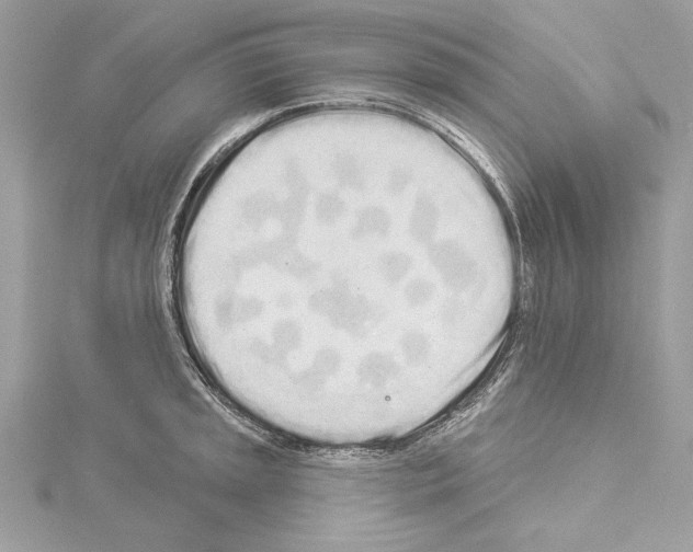 X0000114491045200911301102