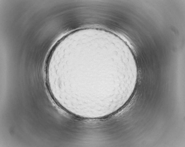 X0000114491046200911301102