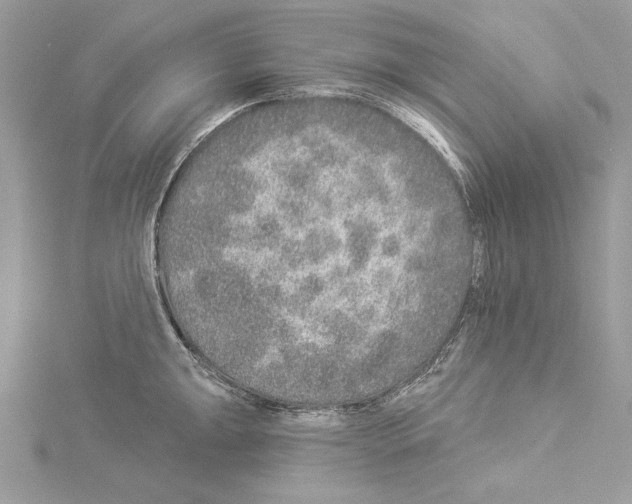 X0000114491047200911301102