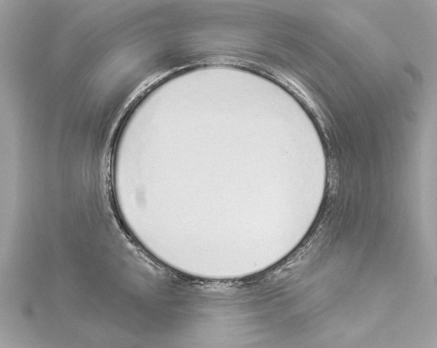 X0000114491048200911301102