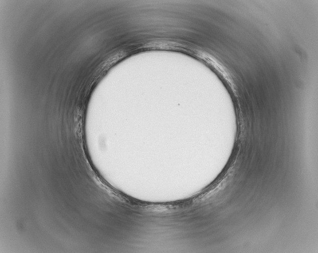 X0000114491049200911301102