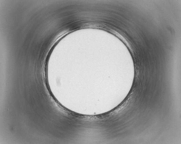 X0000114491050200911301102