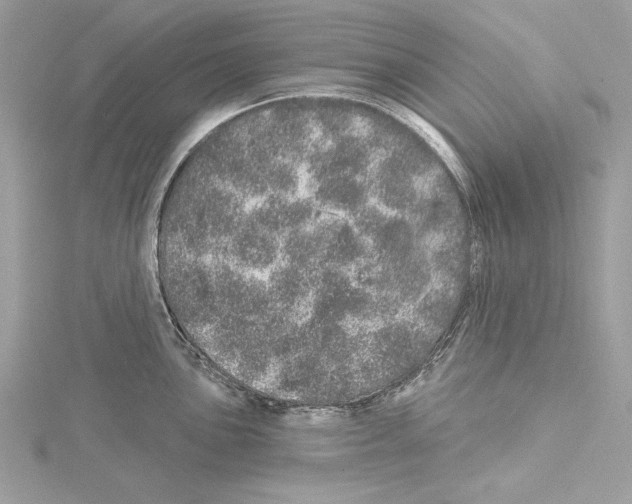 X0000114491051200911301102