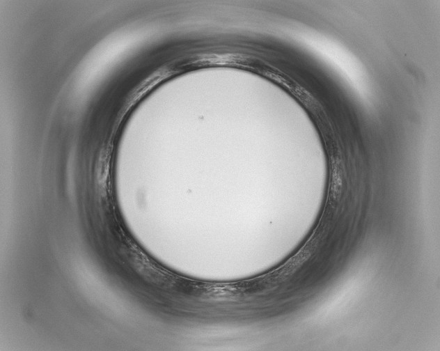 X0000114491052200911301102