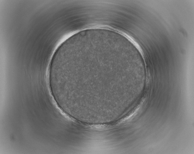 X0000114491053200911301102