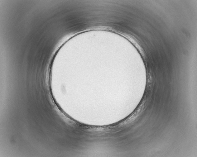 X0000114491054200911301102