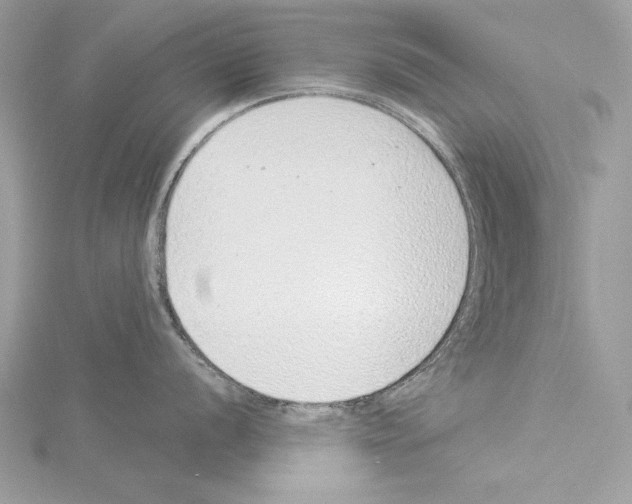 X0000114491056200911301102