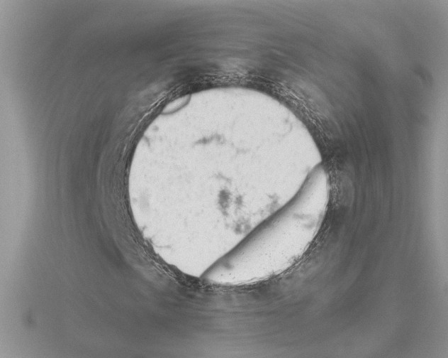 X0000114491057200911301101