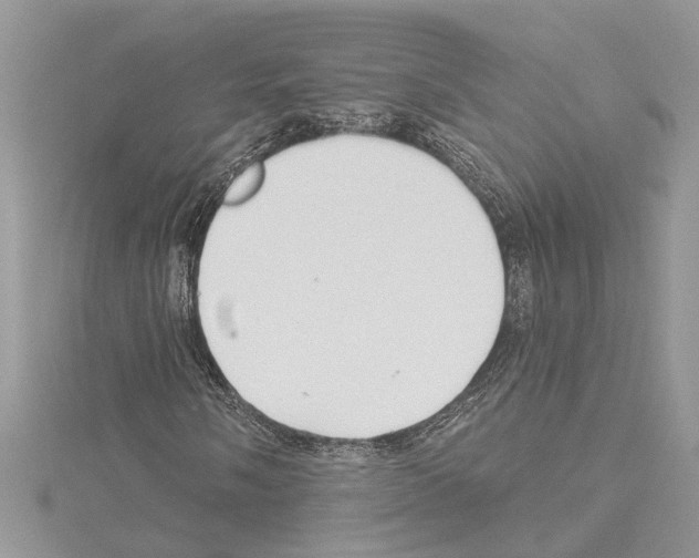 X0000114491058200911301101