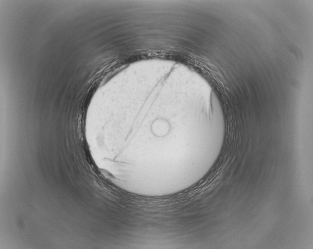 X0000114491060200911301101